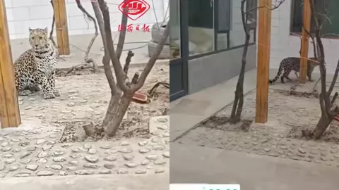 山西霍州
