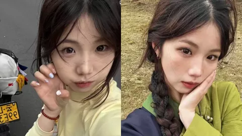 白兰鸽的事