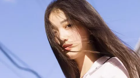 疯狂动物城2