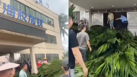 海南海胶集团