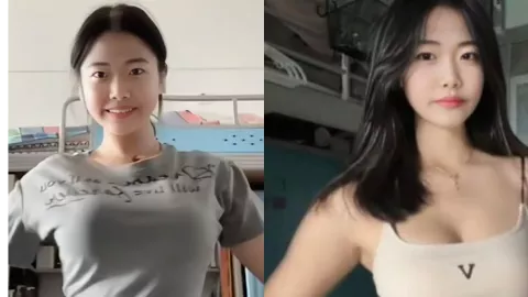 杨云菲