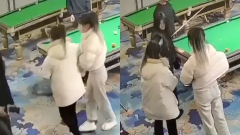 双刀姐妹花