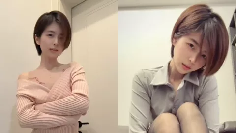 短发那只猫