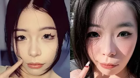 东坡先生