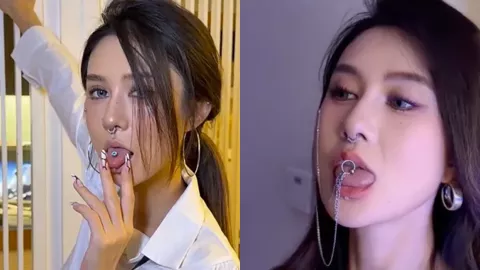 凯西小树洞