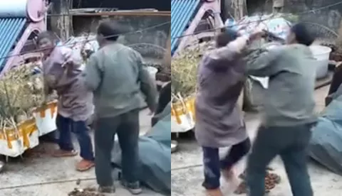 云南盈江