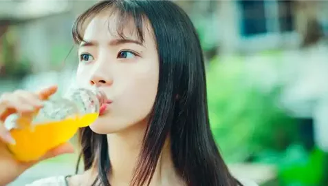 带狗返乡