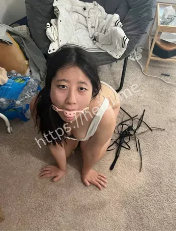 金主风波