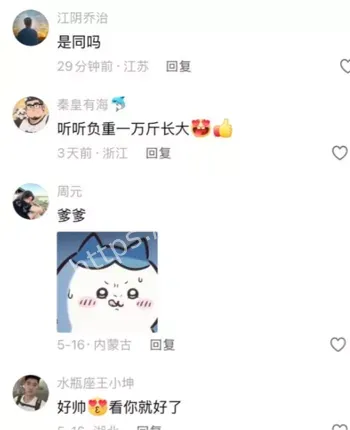 胖熊