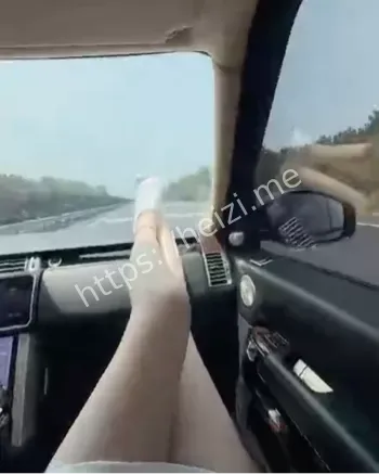 金主