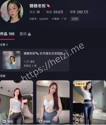 极品少妇