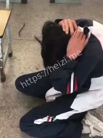 头破血流