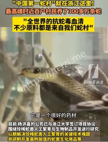 惊现浙江