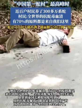 毒蛇变摇钱树