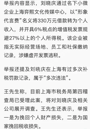 偷税漏税