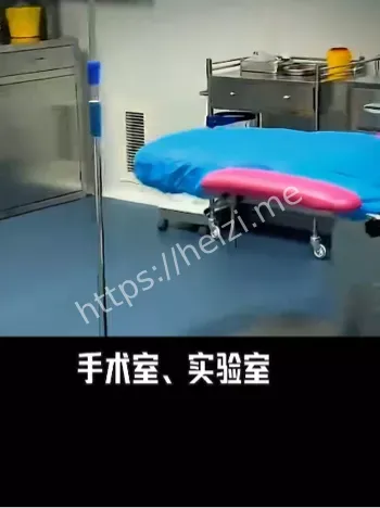 代孕
