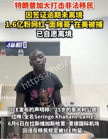 网红顶流