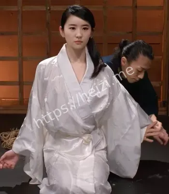 刘亦菲