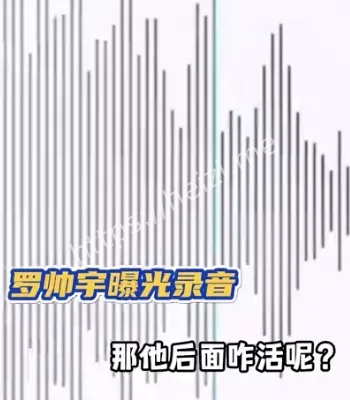举报材料