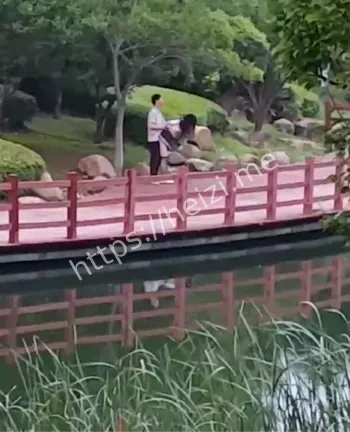 校园野战