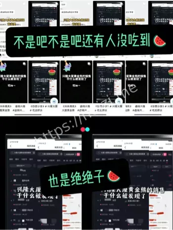 聊天记录