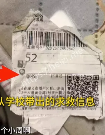 贵州耕力研学