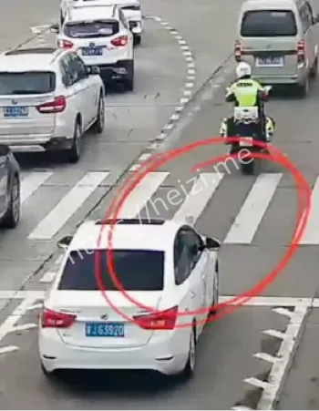 感动网友