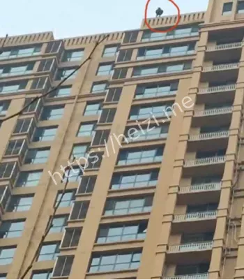 天海誉天下