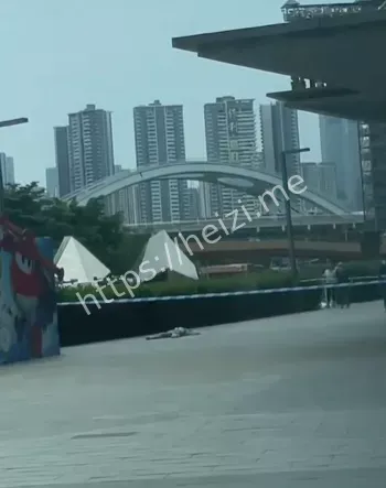 疑为情所困