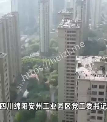 工业园书记
