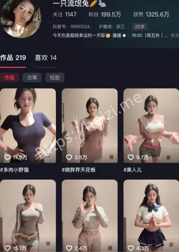 一只流氓兔