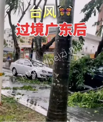 救援行动