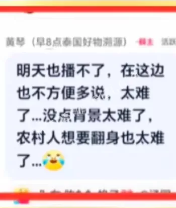 大网红