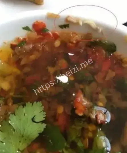蛆虫