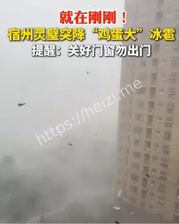 汽车房顶被砸