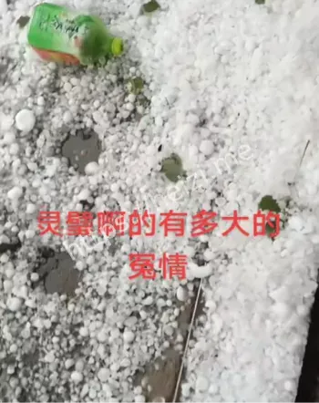百年难遇