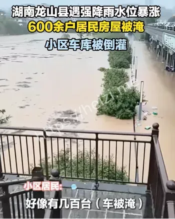 社会支援