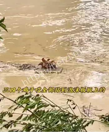 群众受损