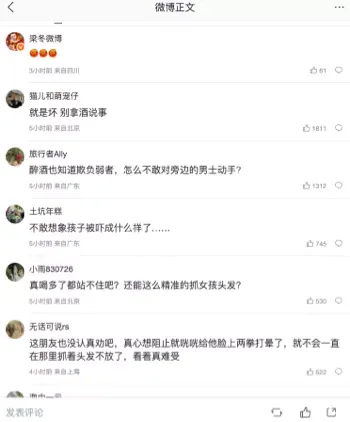 治安案件