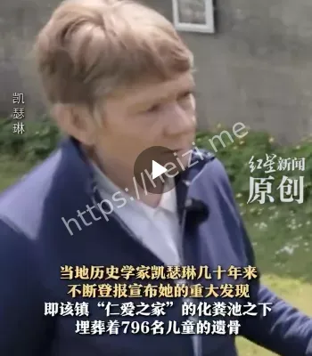 历史