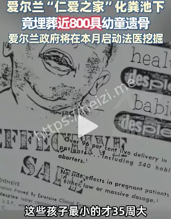 历史