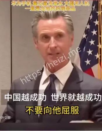 停止缴纳