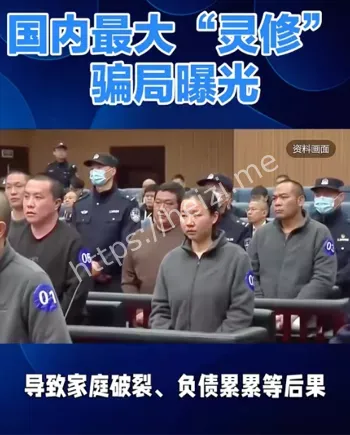 张馨月