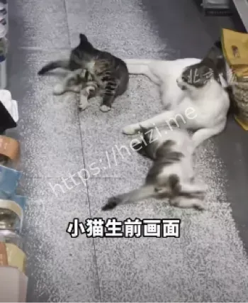 崔亦恒