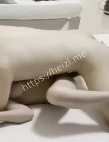 调教