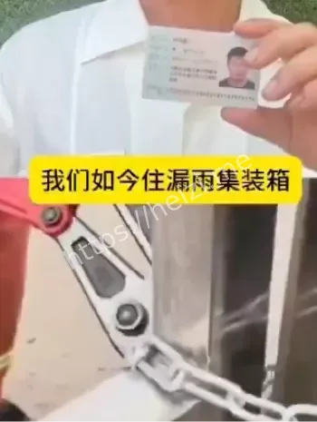 强拆毁林
