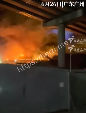 木材花盆