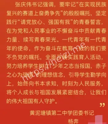 绿茶婊
