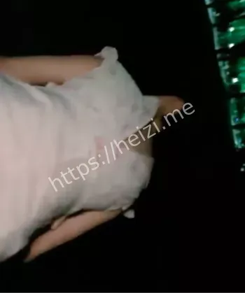 百万粉丝网红