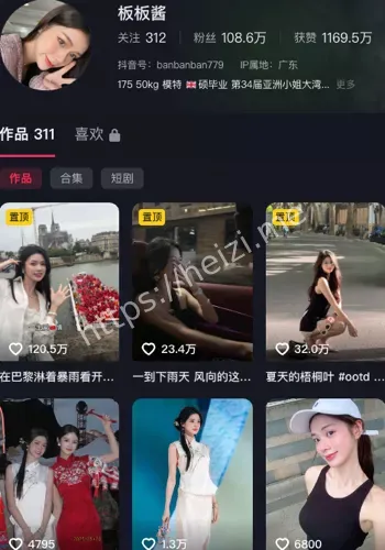 板板酱
